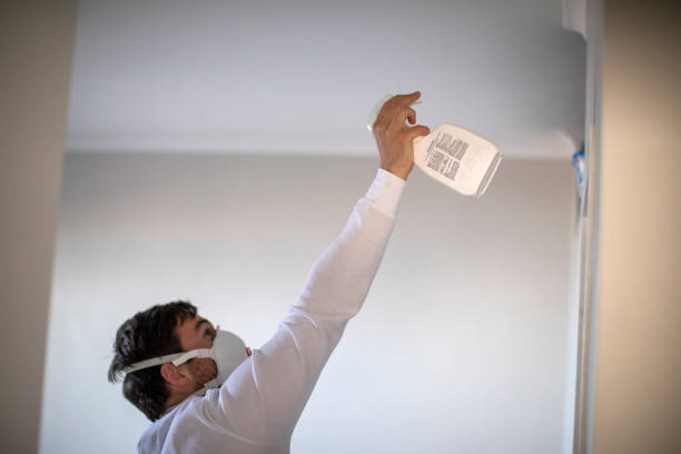 Best Water Damage Restoration  in Edgewood, TX