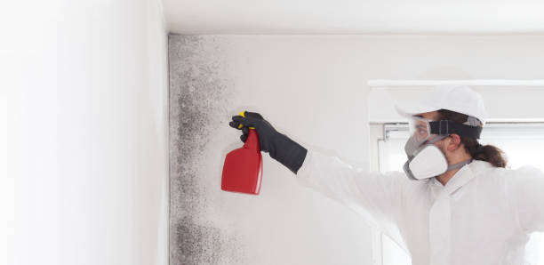 Best Mold Remediation Services  in Edgewood, TX