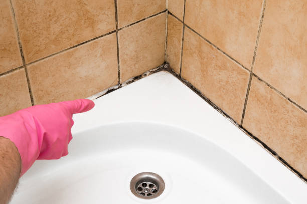 Best Emergency Mold Removal  in Edgewood, TX